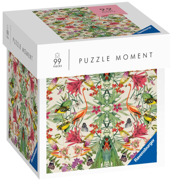 Moment: Tropical 99P