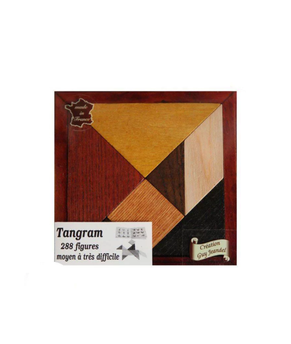 Tangram avec livret 288 fig